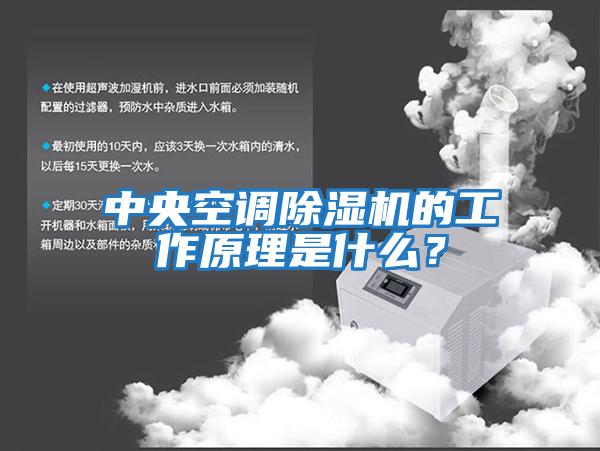 中央空調除濕機的工作原理是什么？