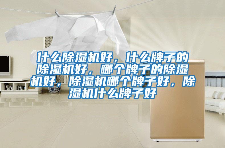 什么除濕機好，什么牌子的除濕機好，哪個(gè)牌子的除濕機好，除濕機哪個(gè)牌子好，除濕機什么牌子好