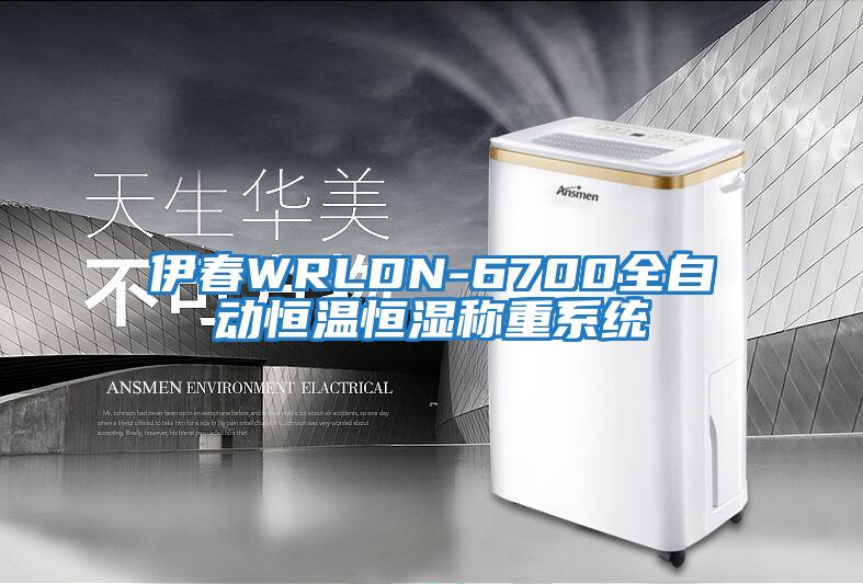 伊春WRLDN-6700全自動(dòng)恒溫恒濕稱(chēng)重系統