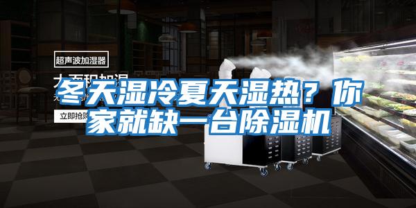 冬天濕冷夏天濕熱？你家就缺一臺除濕機