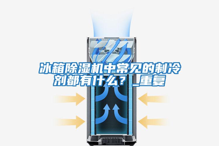 冰箱除濕機中常見(jiàn)的制冷劑都有什么？_重復