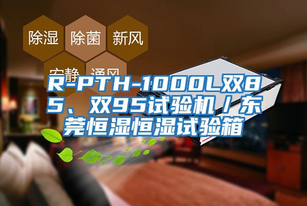 R-PTH-1000L雙85、雙95試驗機／東莞恒濕恒濕試驗箱