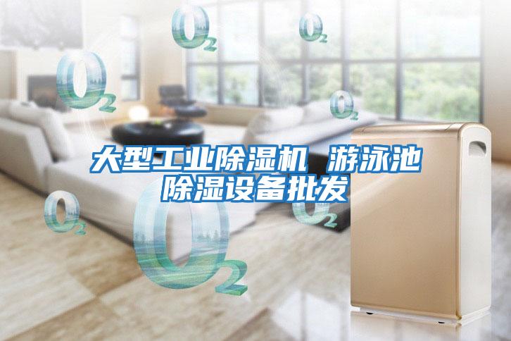 大型工業(yè)除濕機 游泳池除濕設備批發(fā)