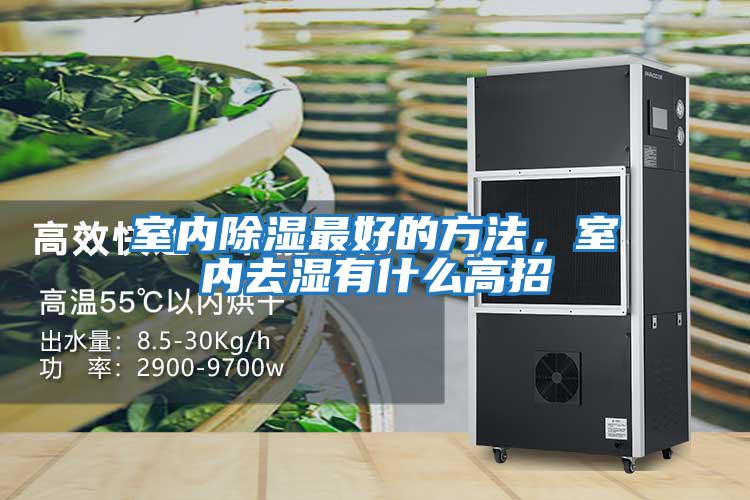 室內除濕最好的方法，室內去濕有什么高招