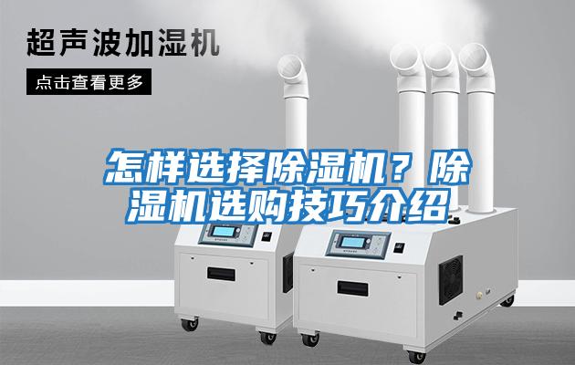 怎樣選擇除濕機？除濕機選購技巧介紹