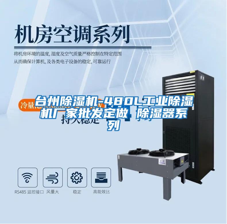 臺州除濕機-480L工業(yè)除濕機廠(chǎng)家批發(fā)定做 除濕器系列