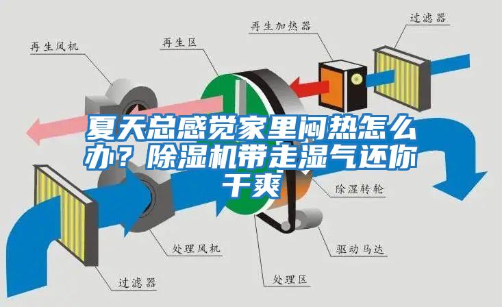 夏天總感覺(jué)家里悶熱怎么辦？除濕機帶走濕氣還你干爽