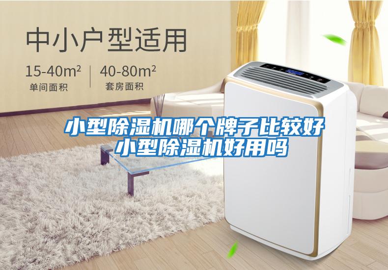 小型除濕機哪個(gè)牌子比較好 小型除濕機好用嗎