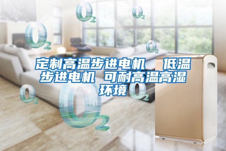 定制高溫步進(jìn)電機  低溫步進(jìn)電機 可耐高溫高濕環(huán)境