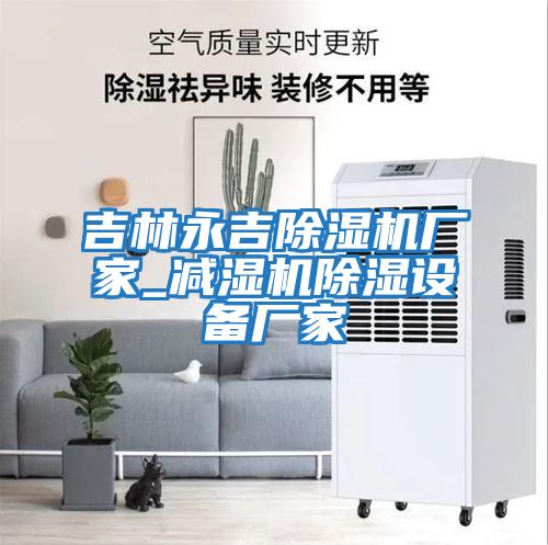 吉林永吉除濕機廠(chǎng)家_減濕機除濕設備廠(chǎng)家