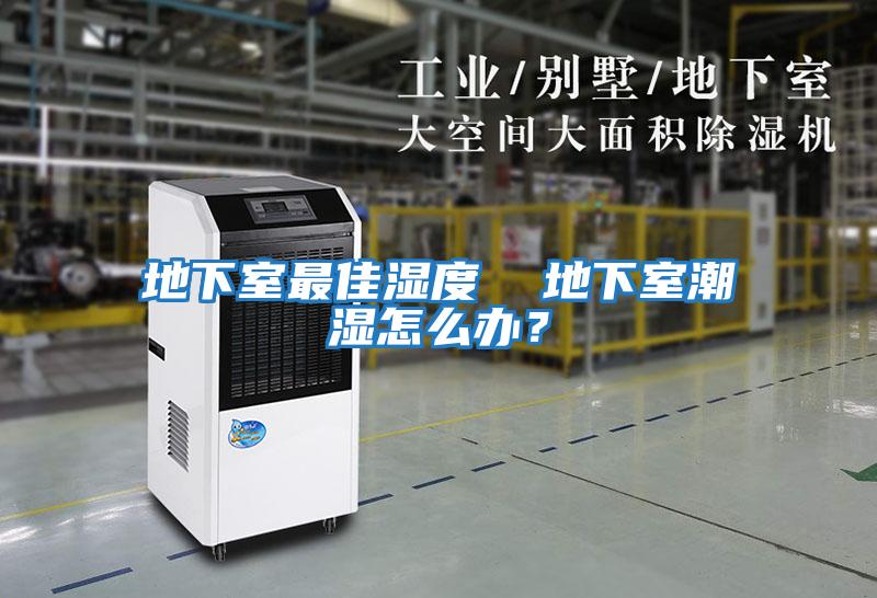 地下室最佳濕度  地下室潮濕怎么辦？