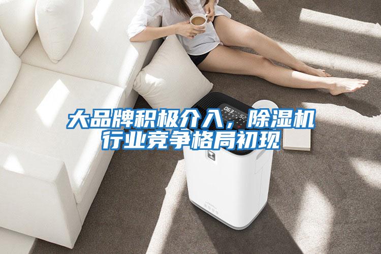 大品牌積極介入，除濕機行業(yè)競爭格局初現