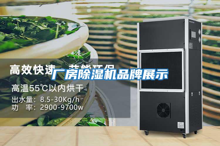 廠(chǎng)房除濕機品牌展示