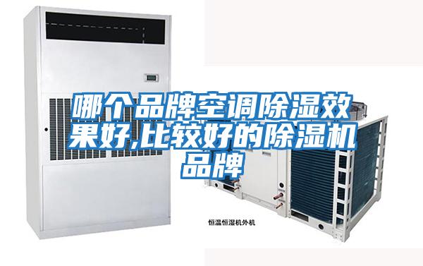 哪個(gè)品牌空調除濕效果好,比較好的除濕機品牌