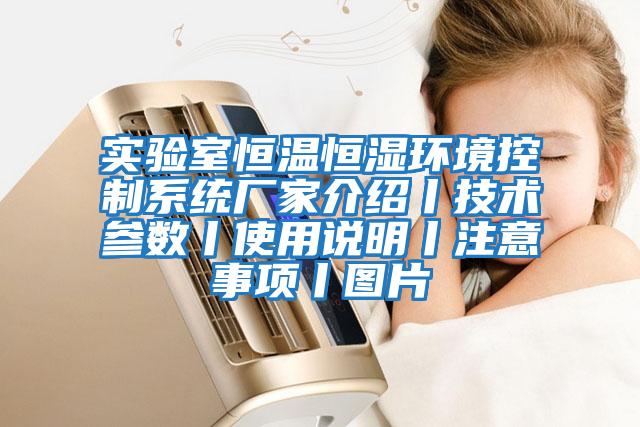 實(shí)驗室恒溫恒濕環(huán)境控制系統廠(chǎng)家介紹丨技術(shù)參數丨使用說(shuō)明丨注意事項丨圖片