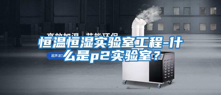恒溫恒濕實(shí)驗室工程-什么是p2實(shí)驗室？