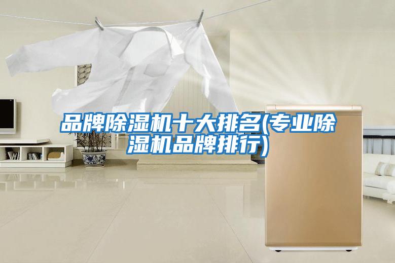 品牌除濕機十大排名(專(zhuān)業(yè)除濕機品牌排行)