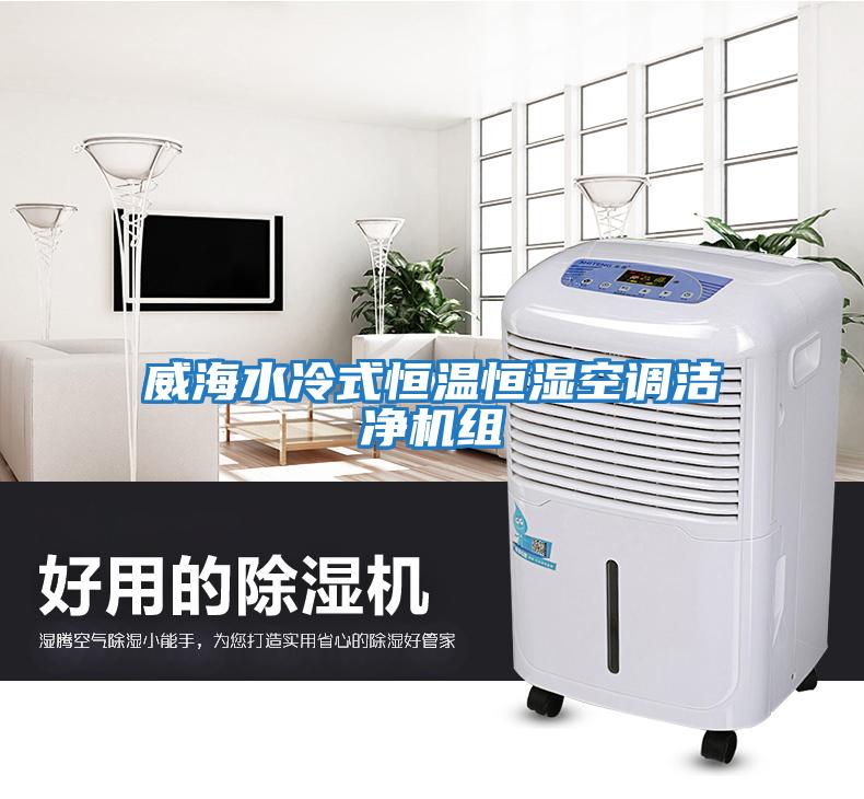 威海水冷式恒溫恒濕空調潔凈機組
