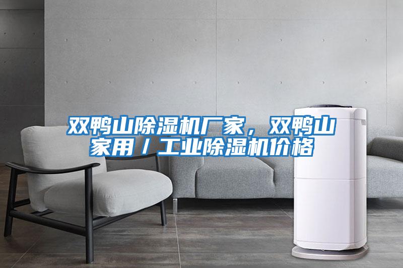 雙鴨山除濕機廠(chǎng)家，雙鴨山家用／工業(yè)除濕機價(jià)格