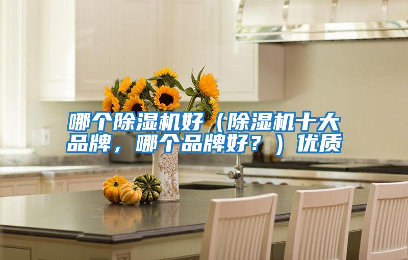 哪個(gè)除濕機好（除濕機十大品牌，哪個(gè)品牌好？）優(yōu)質(zhì)