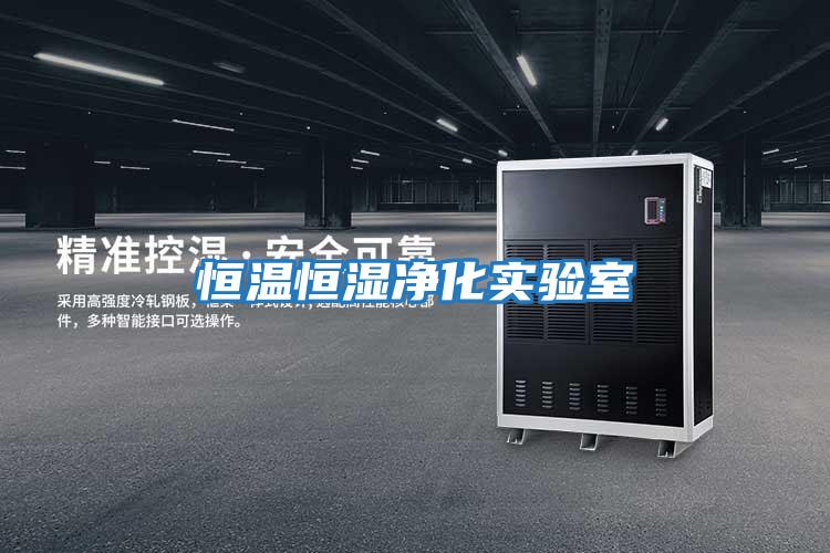 恒溫恒濕凈化實(shí)驗室