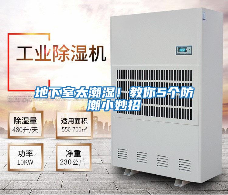 地下室太潮濕！教你5個(gè)防潮小妙招