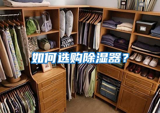 如何選購除濕器？