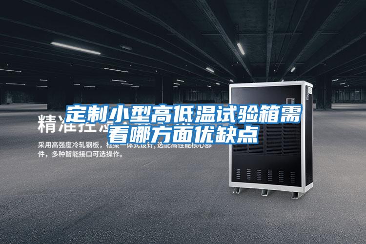 定制小型高低溫試驗箱需看哪方面優(yōu)缺點(diǎn)