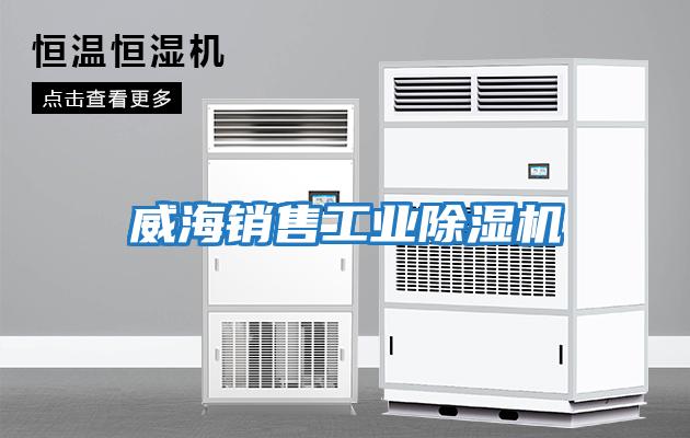 威海銷(xiāo)售工業(yè)除濕機