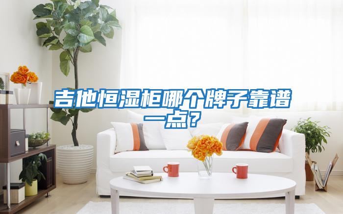 吉他恒濕柜哪個(gè)牌子靠譜一點(diǎn)？