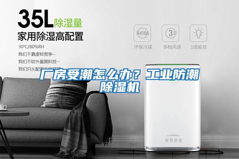 廠(chǎng)房受潮怎么辦？工業(yè)防潮除濕機