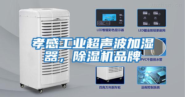 孝感工業(yè)超聲波加濕器，除濕機品牌