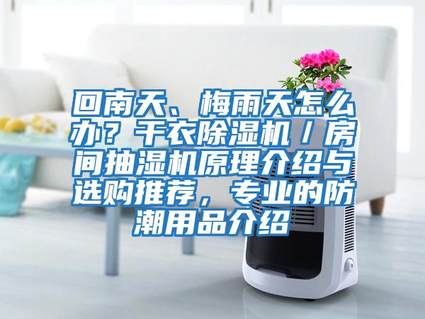 回南天、梅雨天怎么辦？干衣除濕機／房間抽濕機原理介紹與選購推薦，專(zhuān)業(yè)的防潮用品介紹