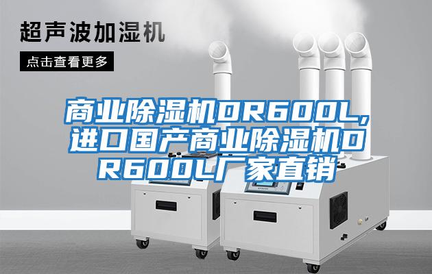 商業(yè)除濕機DR600L,進(jìn)口國產(chǎn)商業(yè)除濕機DR600L廠(chǎng)家直銷(xiāo)