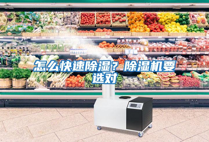 怎么快速除濕？除濕機要選對