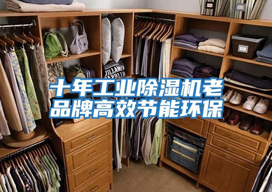 十年工業(yè)除濕機老品牌高效節能環(huán)保
