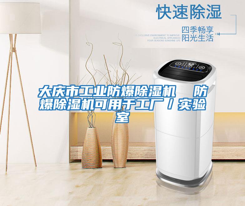 大慶市工業(yè)防爆除濕機 防爆除濕機可用于工廠(chǎng)/實(shí)驗室