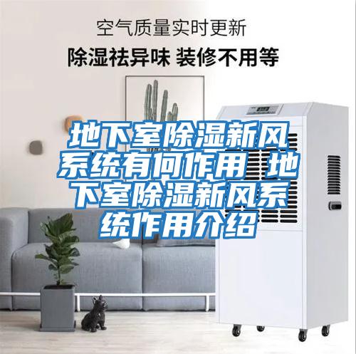 地下室除濕新風(fēng)系統有何作用 地下室除濕新風(fēng)系統作用介紹