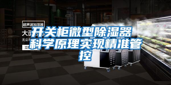 開(kāi)關(guān)柜微型除濕器 科學(xué)原理實(shí)現精準管控