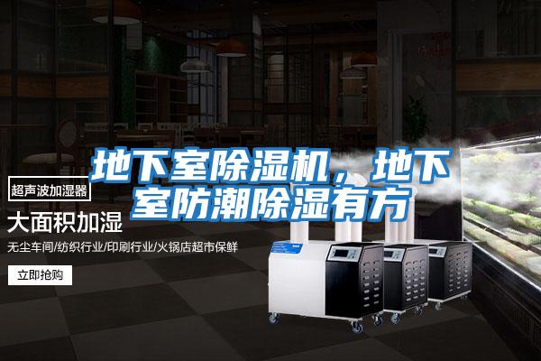 地下室除濕機，地下室防潮除濕有方