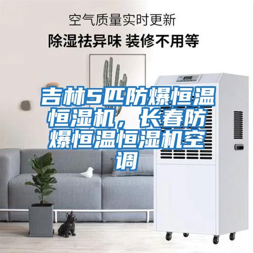 吉林5匹防爆恒溫恒濕機，長(cháng)春防爆恒溫恒濕機空調