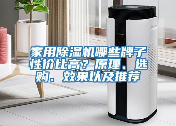 家用除濕機哪些牌子性?xún)r(jià)比高？原理、選購、效果以及推薦