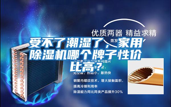 受不了潮濕了，家用除濕機哪個(gè)牌子性?xún)r(jià)比高？