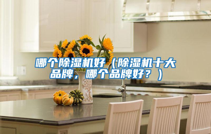 哪個(gè)除濕機好（除濕機十大品牌，哪個(gè)品牌好？）