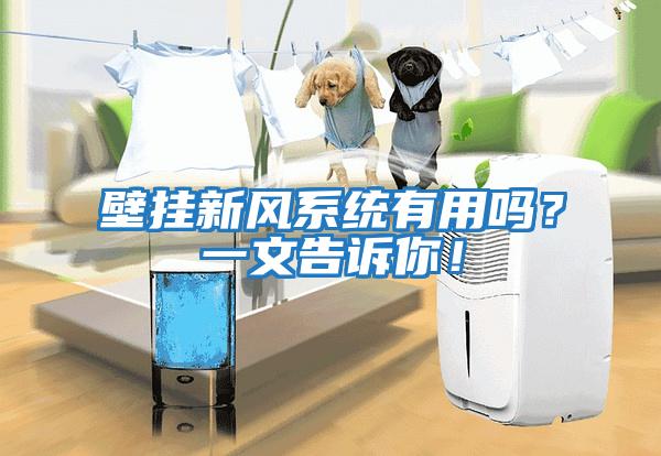 壁掛新風(fēng)系統有用嗎？一文告訴你！