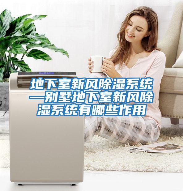 地下室新風(fēng)除濕系統—別墅地下室新風(fēng)除濕系統有哪些作用