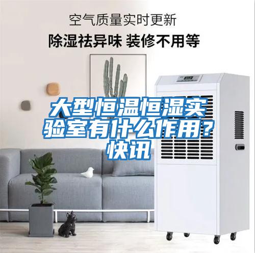 大型恒溫恒濕實(shí)驗室有什么作用？快訊