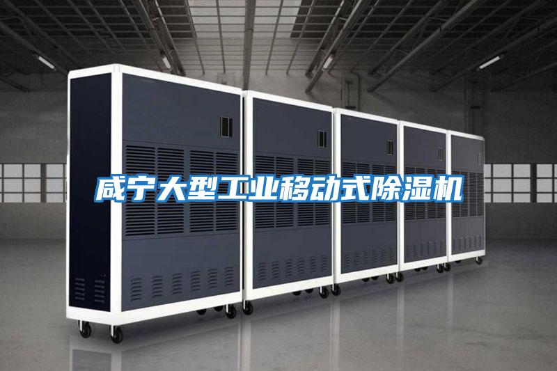 咸寧大型工業(yè)移動(dòng)式除濕機