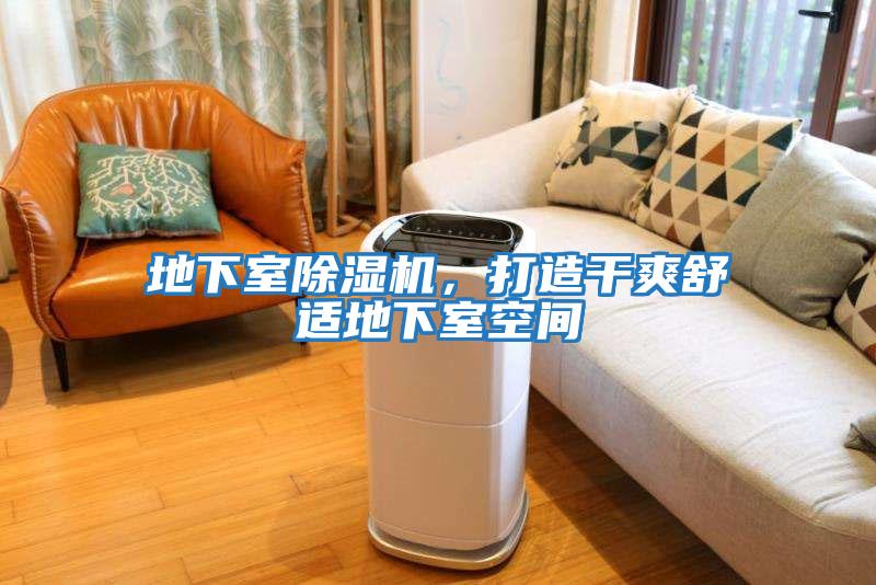 地下室除濕機，打造干爽舒適地下室空間