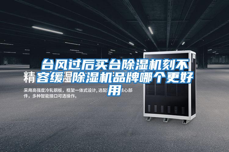 臺風(fēng)過(guò)后買(mǎi)臺除濕機刻不容緩 除濕機品牌哪個(gè)更好用